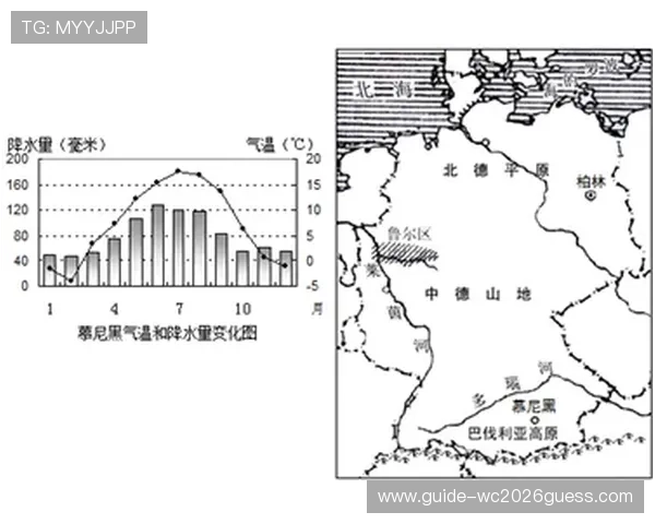 世界杯比利时队比赛期间埃及当地天气情况详解及对比赛影响分析